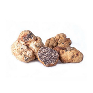 Weisser Frühlingstrüffel , Tuber Borchii , Tuber Bianchetto