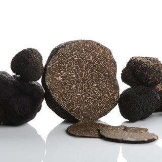 Tuber Melanosporum - Périgord Trüffel - Nero Pregiato - beste Qualität
