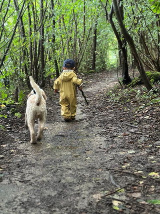 Warum Trüffeltraining für Hunde eine perfekte Beschäftigung ist