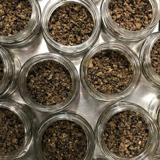 Tuberium Sommertrüffel Gehackt (Tuber Aestivum Vitt.) in Olivenöl
