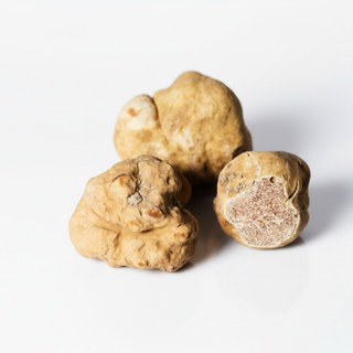 Weisser Alba Trüffel "Tuber Magnatum Pico"
