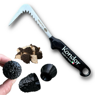 Trüffelstarter Set für Hunde mit Sommertrüffel, Trüffeldummy und Kondor Trüffelraspino