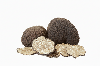 Frischer Tuber Aestivum Sommertrüffel aus der Schweiz