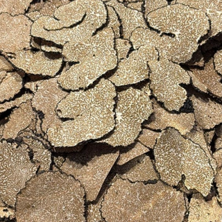 Schweizer Sommertrüffel Tuber Aestivum in verschiedenen Grössen